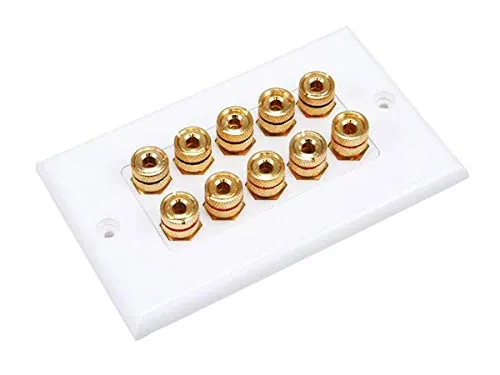 Monoprice 103539 Speaker Wall Plate Review