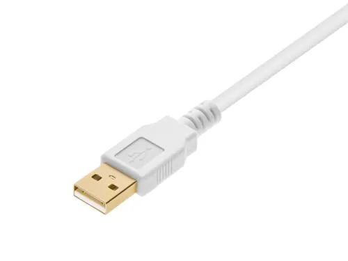 Monoprice 108612 10ft USB-A to USB-A Cable Review image 2