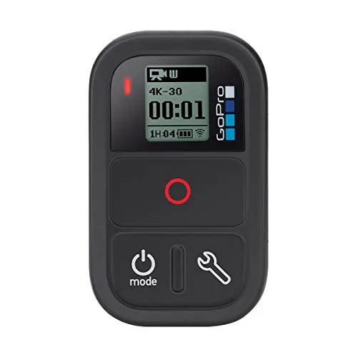 GoPro Smart Remote Control Review for GoPro Cameras
