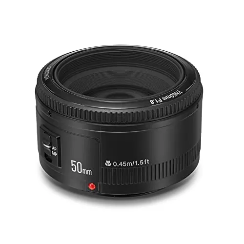 YONGNUO YN50mm F1.8 Review: Budget Canon EF Prime Lens image 6