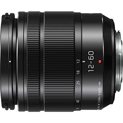 Panasonic Lumix 12-60mm Review: Micro Four Thirds Zoom