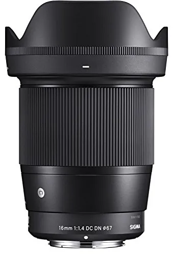 Sigma 16mm f/1.4 Sony E Lens Review & Ranking image 6
