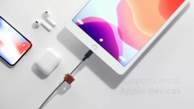 Native Union BELT Cable XL Review: 10ft Lightning Cable image 7