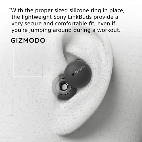 Sony LinkBuds Review: Open-Ear Wireless Earbuds Ranked image 3