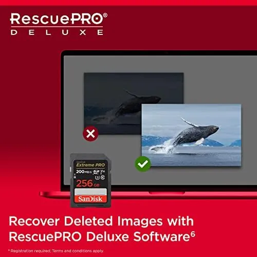 SanDisk 256GB Extreme PRO SD Card Review image 6
