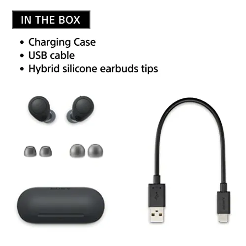 Sony WF-C700N Review: Noise Cancelling Earbuds Ranked image 4