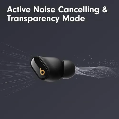 Beats Studio Buds + Review: Noise Cancelling Earbuds image 2