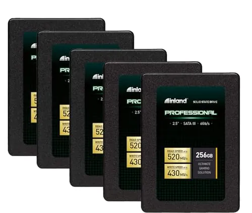 INLAND Professional 256GB SSD 5 Pack Review