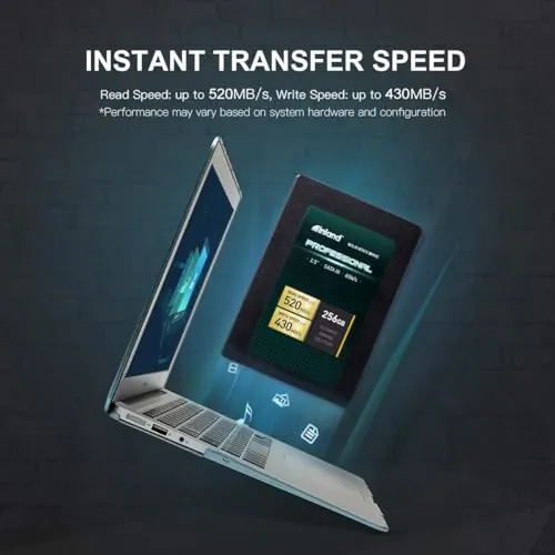 INLAND Professional 256GB SSD 5 Pack Review image 3